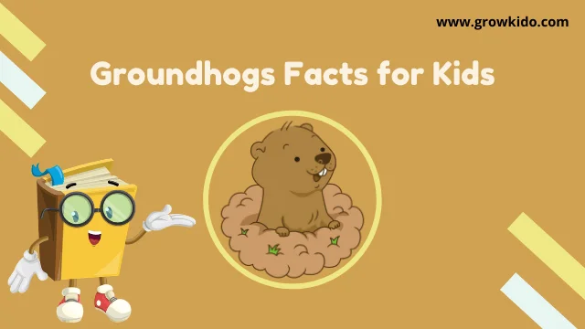Interesting Fun Groundhogs Facts for Kids