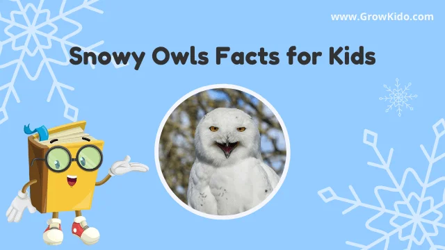 Interesting Fun Snowy Owls Facts for Kids