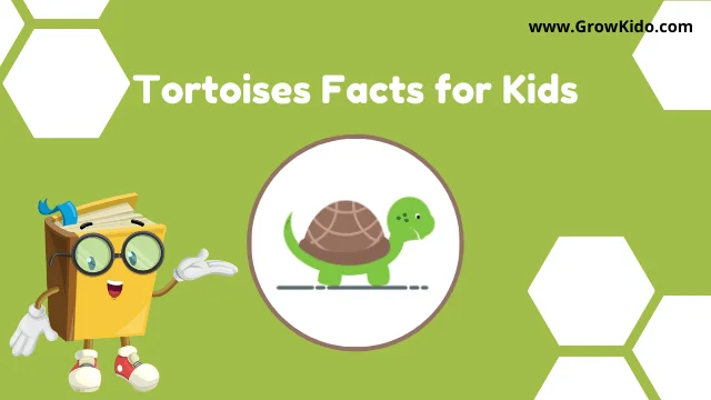 interesting fun tortoise facts for kids