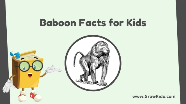 Interesting Fun Baboon Facts for Kids