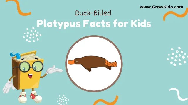 Interesting Fun Duck Billed Platypus Facts for Kids