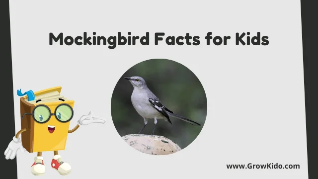 Interesting Fun Mockingbird Facts for Kids