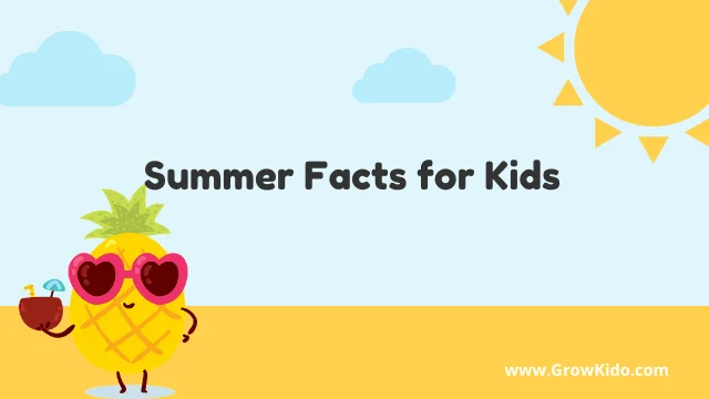 Interesting Fun Summer Facts for Kids