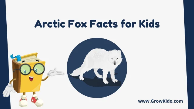 Interesting Fun Arctic Fox Facts for Kids