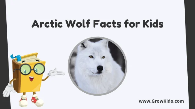 Interesting Fun Arctic Wolf Facts for Kids
