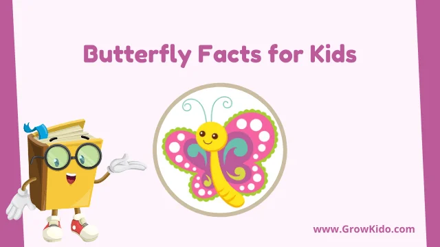 Interesting Fun Butterfly Facts for Kids