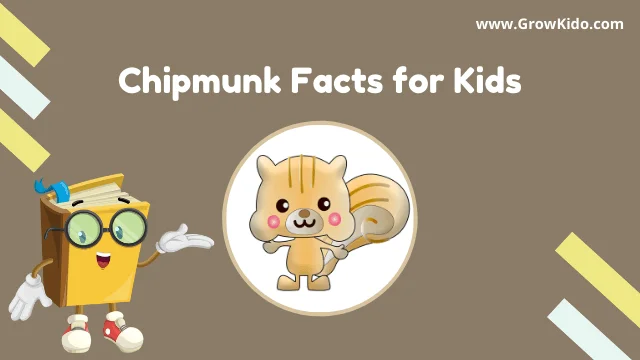 Interesting Fun Chipmunk Facts for Kids