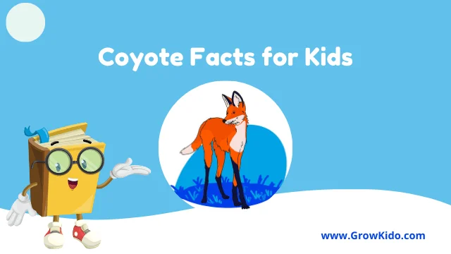 Interesting Fun Coyote Facts for Kids