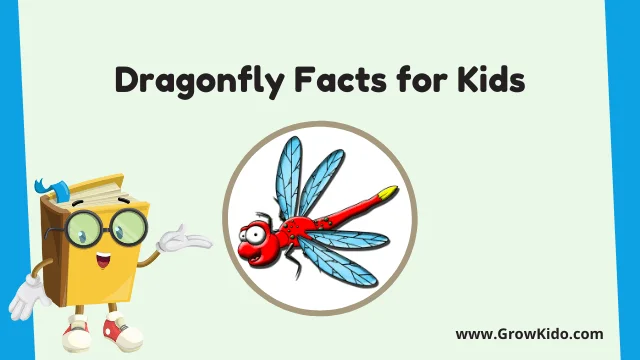 Interesting Fun Dragonfly Facts for Kids