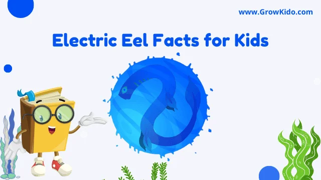 Interesting Fun Electric Eel Facts for Kids