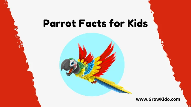 Interesting Fun Parrot Facts for Kids