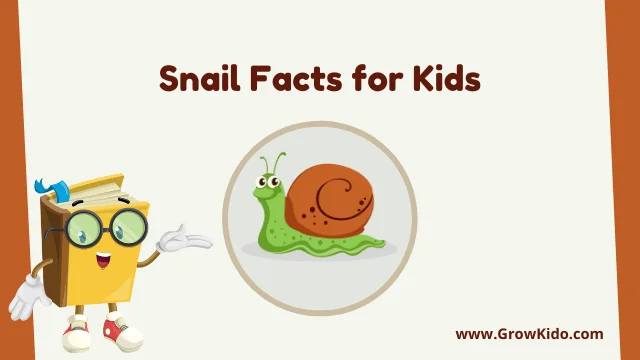 Interesting Fun Snail Facts for Kids