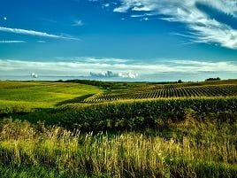 interesting facts about iowa for kids