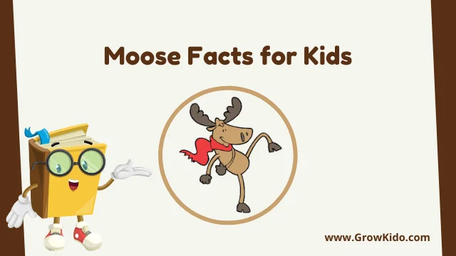 Fun Moose Facts for Kids
