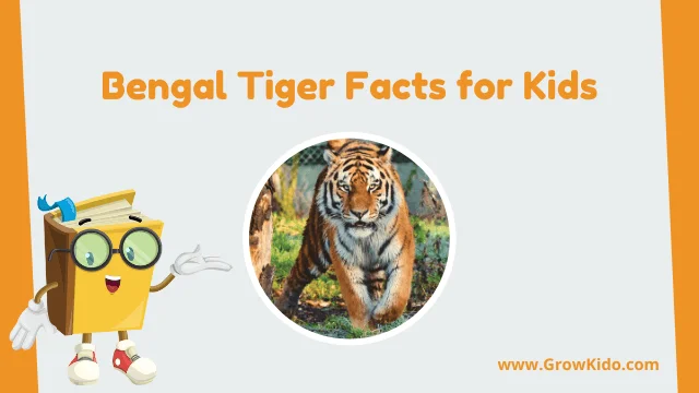 11 Amazing Bengal Tiger Facts for Kids [UPDATED Facts]