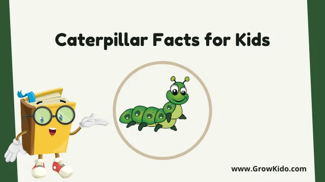 Interesting Fun Caterpillar Facts for Kids