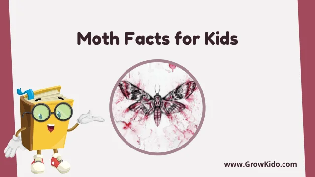 Interesting Fun Moth Facts for Kids
