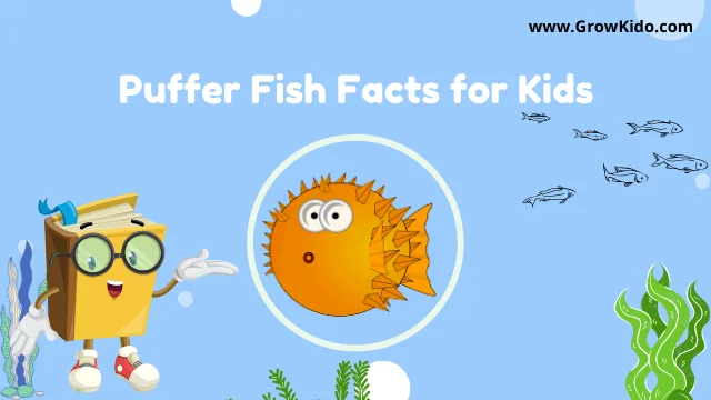 Interesting Fun Puffer Fish Facts for Kids