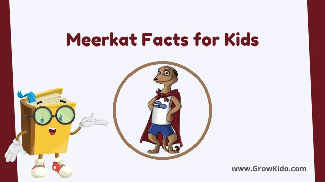 Interesting Meerkat Facts for Kids