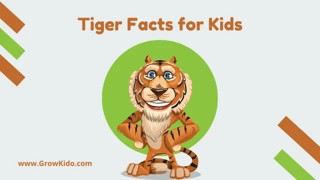 Interesting Tiger Facts for Kids