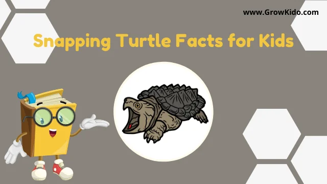 common snapping turtle facts for kids
