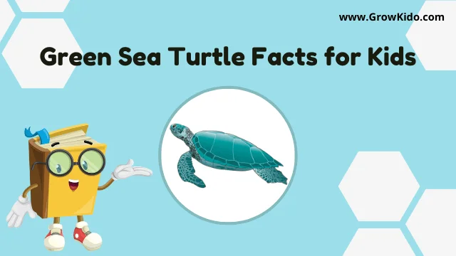 interesting Green Sea Turtle Facts for Kids