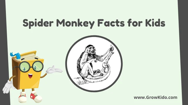 interesting Spider Monkey Facts for Kids