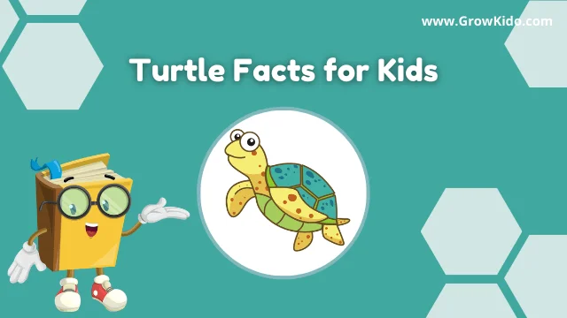 Fun Turtle Facts for Kids