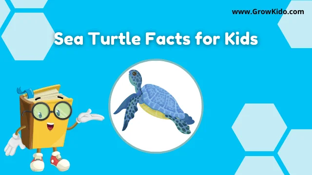 Sea Turtle Facts for Kids