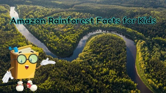 11 Amazing Amazon Rainforest Facts for Kids [UPDATED Facts]