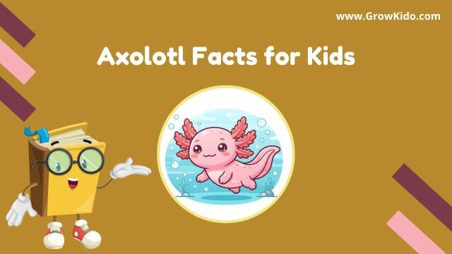 11 Amazing Axolotl Facts for Kids [UPDATED Facts]