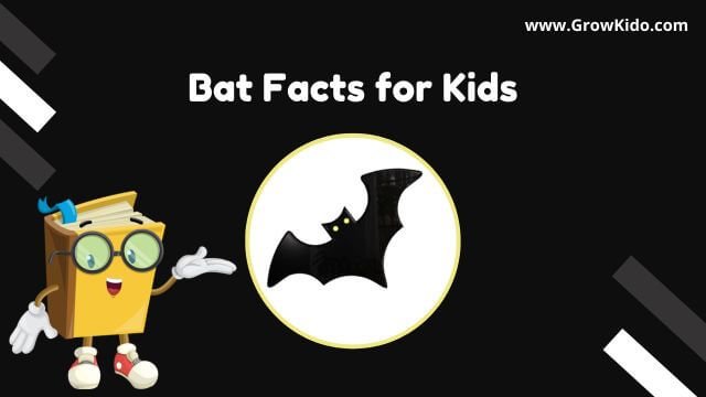 11 Surprising Bat Facts for Kids [UPDATED]