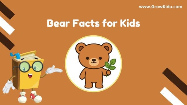 11 Surprising Bear Facts for Kids [UPDATED]