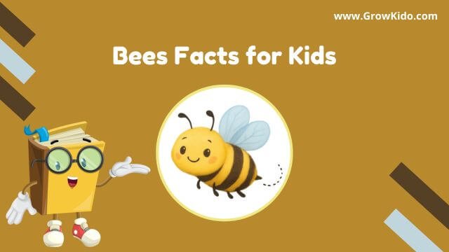 Bee Facts for Kids
