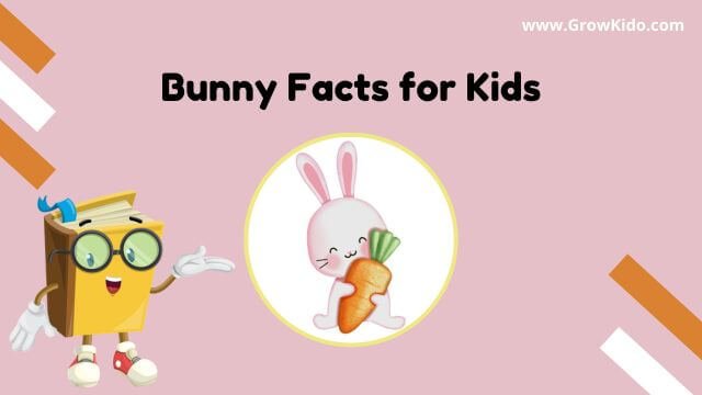 11 Fun & Surprising Bunny Facts for Kids [UPDATED]