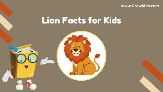 11 Amazing Lion Facts for Kids [UPDATED Facts]