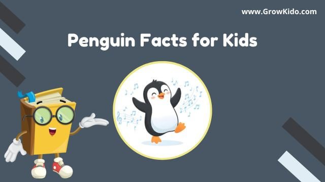 11 Amazing Penguin Facts for Kids [UPDATED Facts]